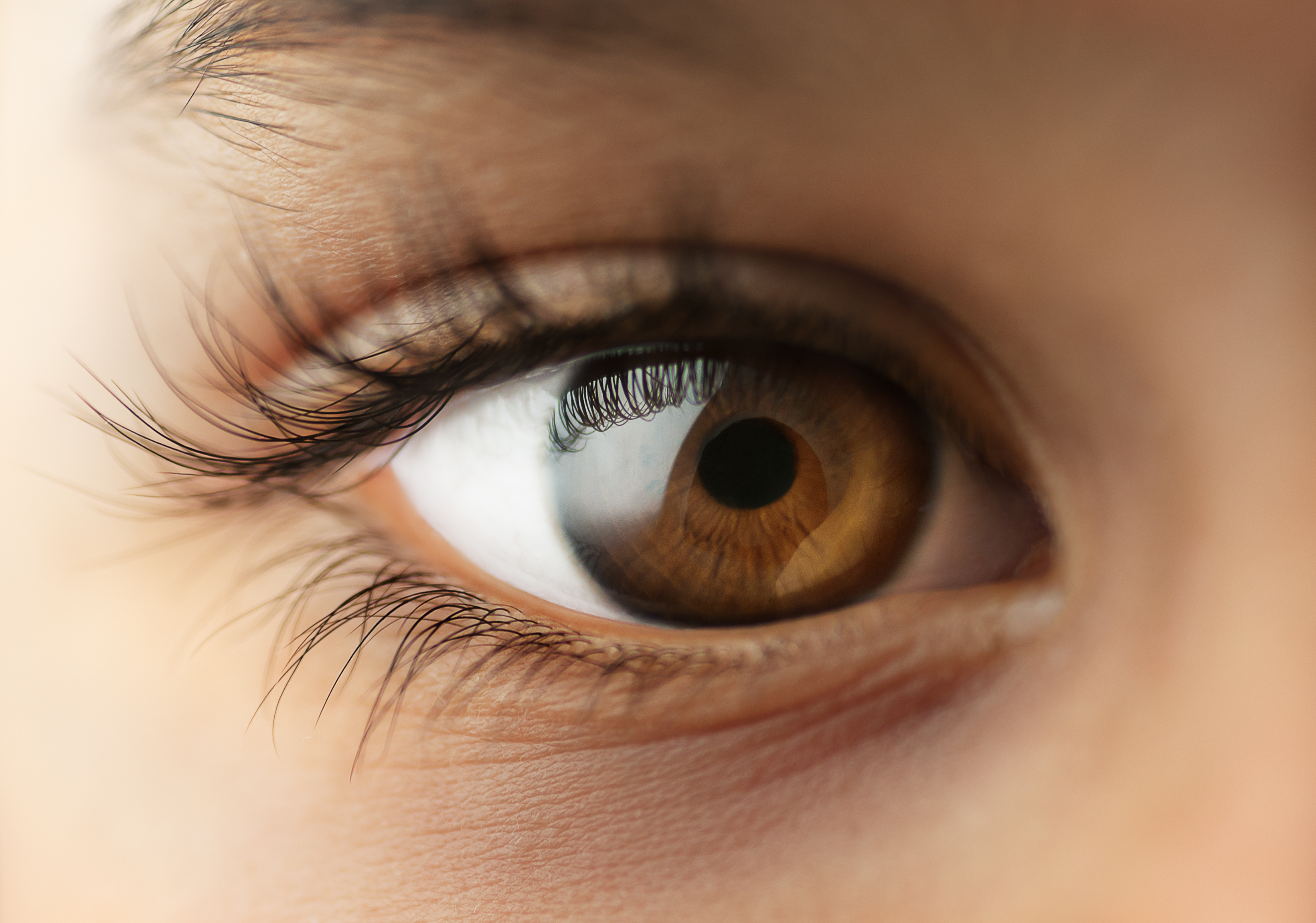 Olhos castanhos e óculos de sol