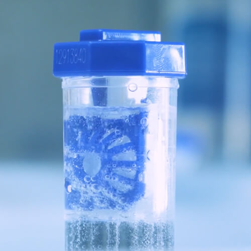 Lentes de contacto de molho em solução de peróxido a borbulhar