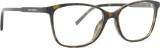Dolce & Gabbana 0DG3424 502 54