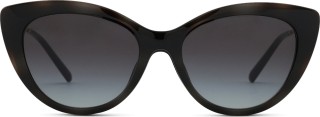 Emporio Armani EA 4213U 50171W 53 (clip solar) 36744