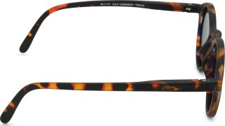 Izipizi Sun Junior #D Tortoise (de 7 - 11 anos)