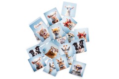 Jogo da Memória Lentiamo (bónus)