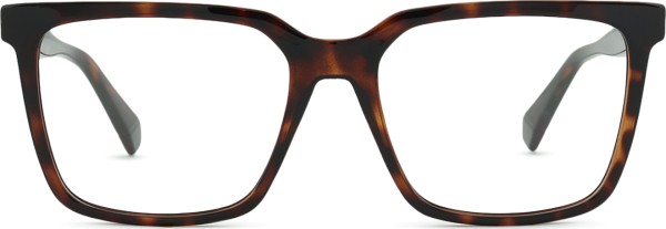 Polaroid PLD D556/C 086 17 55 (clip solar)