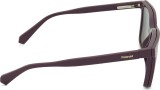 Polaroid PLD D556/C 0T7 17 54 (clip solar) 49059