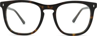 Ray-Ban 0RX2210V 2012 53