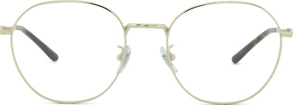 Ray-Ban 0RX8778D 1251 52