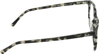 Ray-Ban Elliot 0RX5397 8117 50