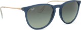 Ray-Ban Erika RB4171 681311 54