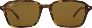 Ray-Ban Raimond RB2231 141833