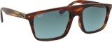 Ray-Ban RB2222 954/3M 57