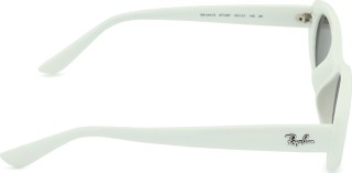 Ray-Ban RB4441D 677287 53 37463