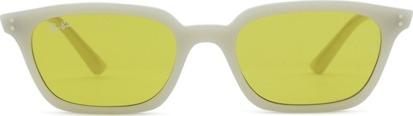 Ray-Ban Zaya RB4456 68086D 53
