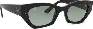 Ray-Ban Zena RB4430 667711 52