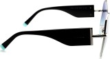 Tiffany & Co. TF3069 61459S 59 7609