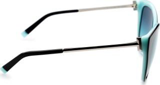 Tiffany & Co. TF4166 80559S 55 7797